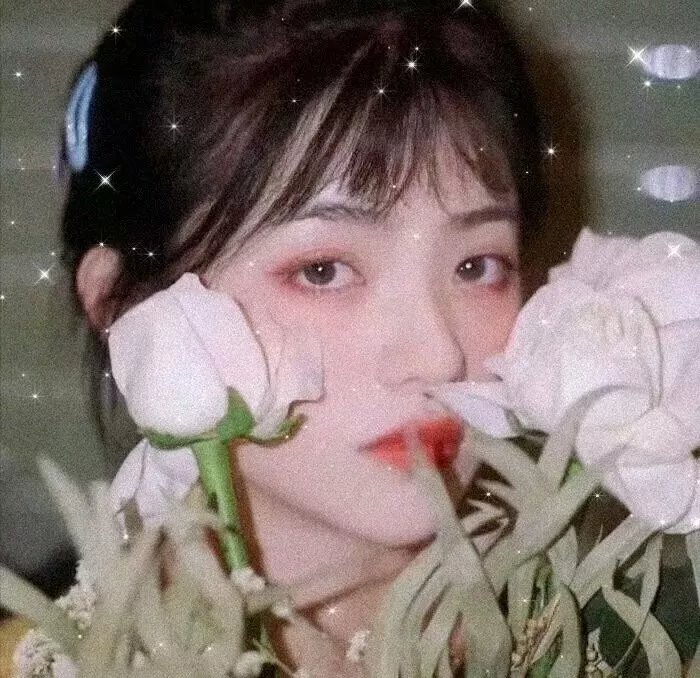 堕落花